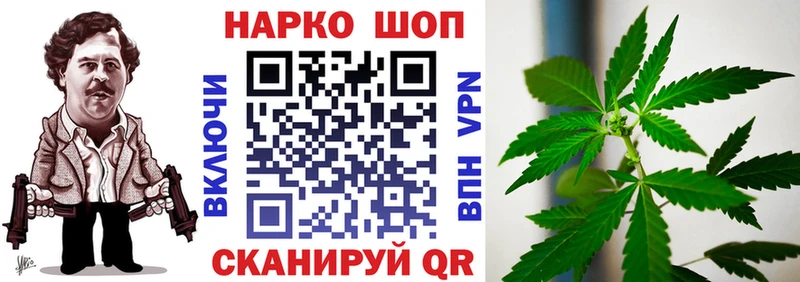 Где найти наркотики Кингисепп АМФ Псилоцибиновые грибы ГАШ Меф Марихуана СОЛЬ