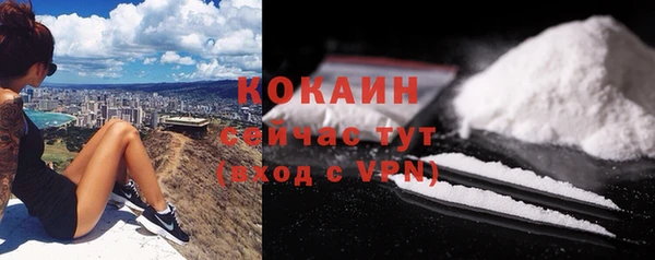 хмурый Бородино