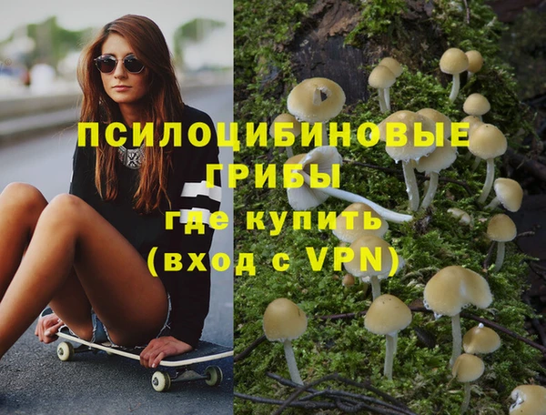 хмурый Бородино