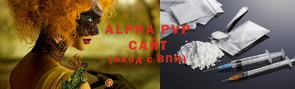 ГАЛЛЮЦИНОГЕННЫЕ ГРИБЫ Богданович