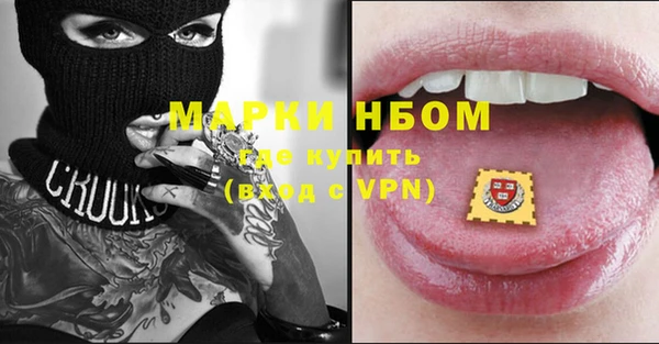 ГАЛЛЮЦИНОГЕННЫЕ ГРИБЫ Богданович