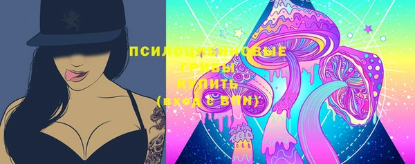 ГАЛЛЮЦИНОГЕННЫЕ ГРИБЫ Богданович