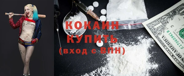 ГАЛЛЮЦИНОГЕННЫЕ ГРИБЫ Богданович
