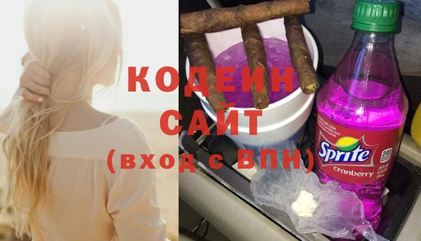 ГАЛЛЮЦИНОГЕННЫЕ ГРИБЫ Богданович