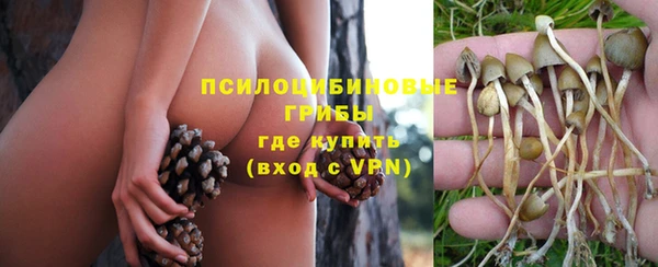 кокс Богородск