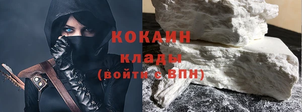 ГАЛЛЮЦИНОГЕННЫЕ ГРИБЫ Богданович